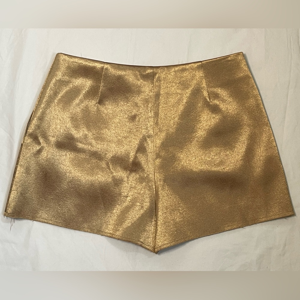 Top Shop Boutique dress shorts